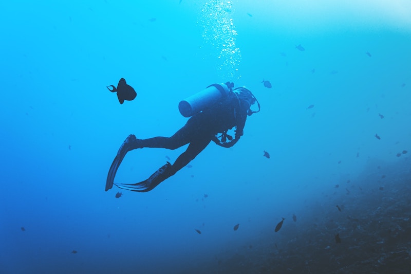 A scuba diver in the sea surrounded by fish
