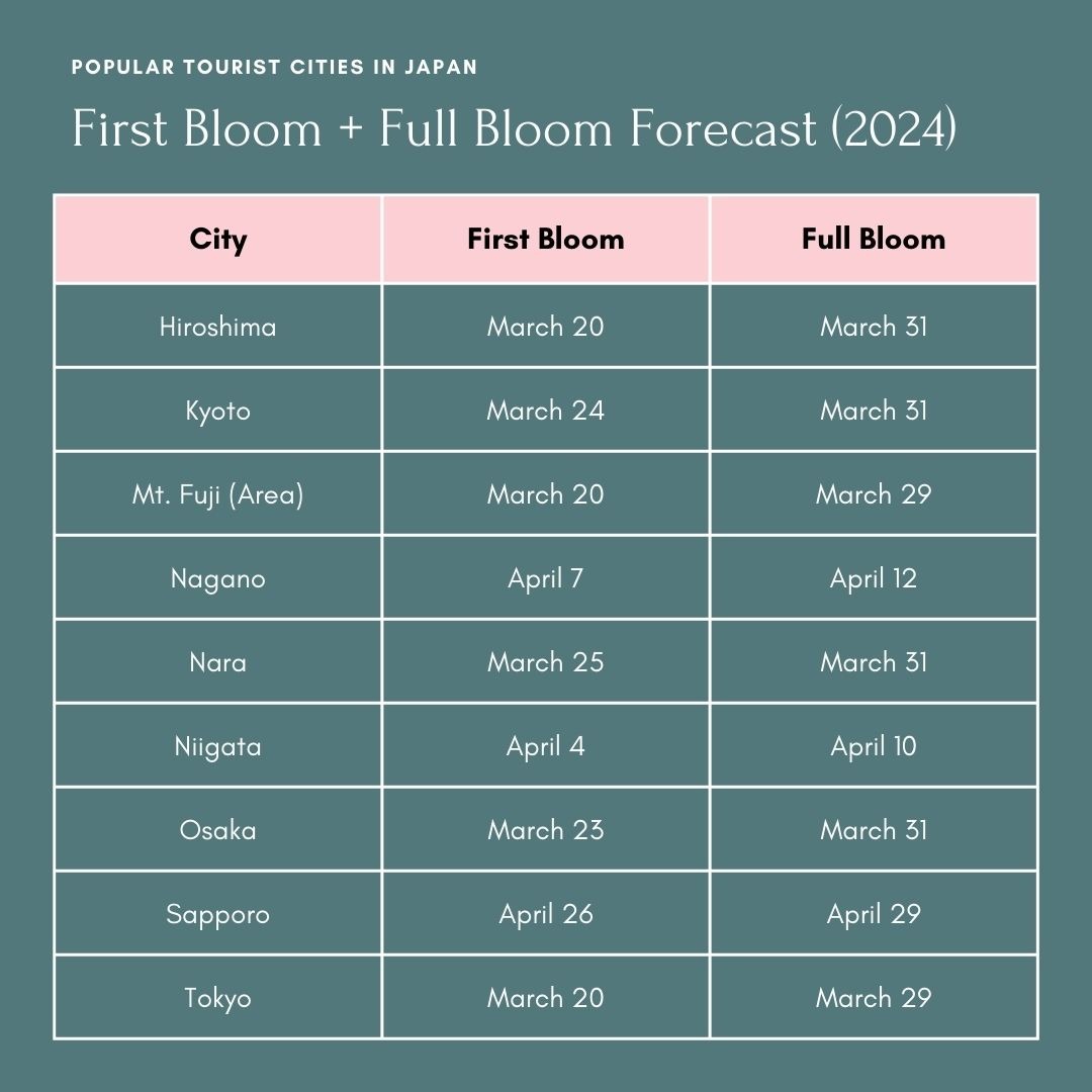 Popular Tourist cities in Japan first bloom & Full bloom forecast 2024. (written city: first bloom date, full bloom date) HIroshima: 3/20, 3/31. Kyoto: 3/24, 3/31. Mt. Fuji: 3/20, 3/29. Nagano: 4/7, 4/12. Nara: 3/25, 3/31. Niigata: 4/4, 4/10. Osaka: 3/25, 3/31. Sapporo: 4/26, 4/29. Tokyo: 3/20, 3/29