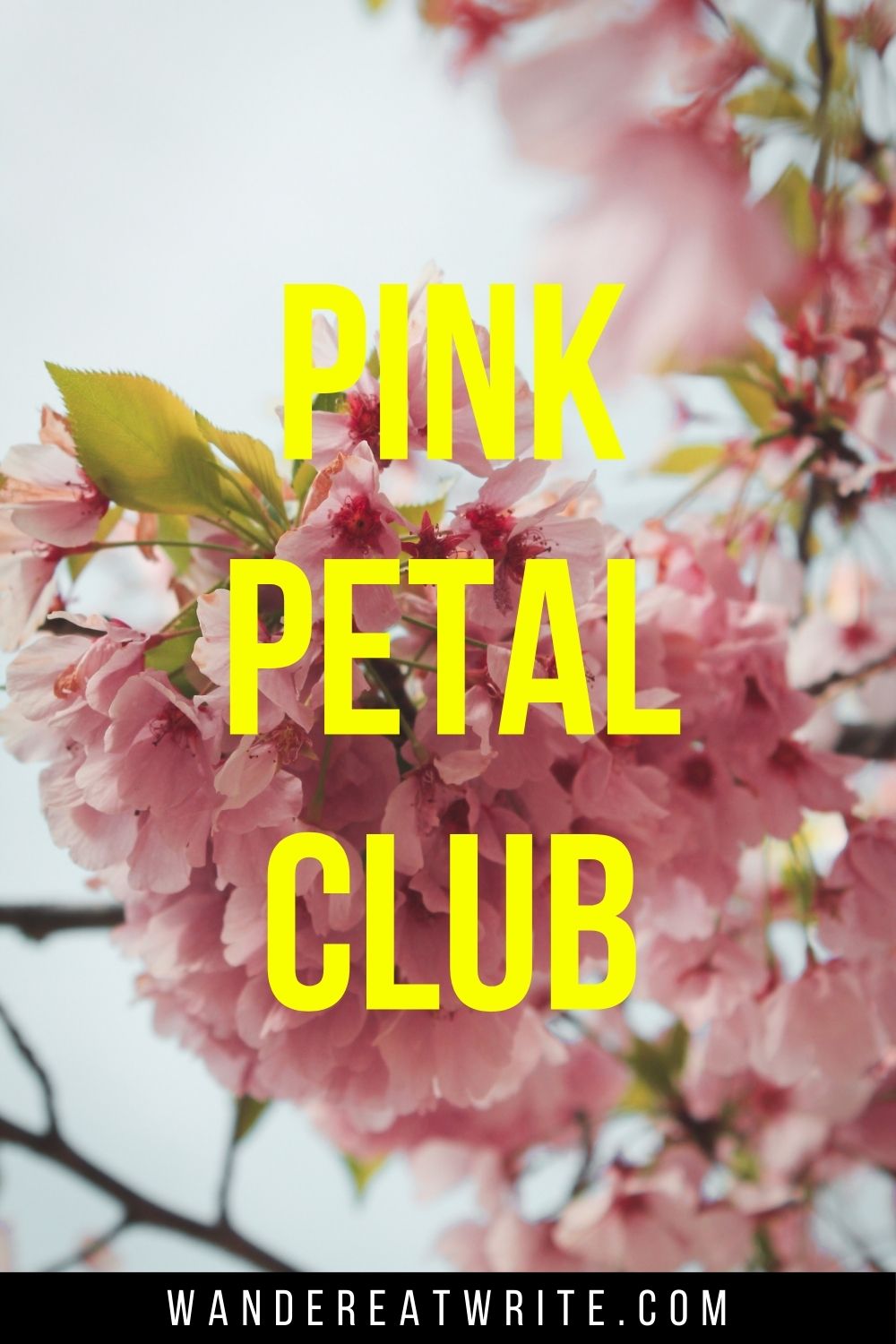 Pin text: Pink Petal Club. Background photo: soft and dreamy photo of pink sakura clusters